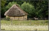 Bokrijk07_055